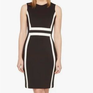Calvin Klein Black and White Midi Dress